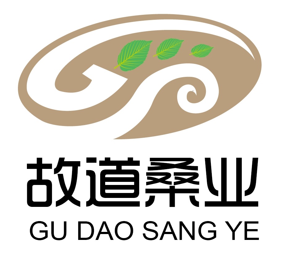 喝茶就可以防脫生發(fā)，太神奇了！桑葉養(yǎng)生茶