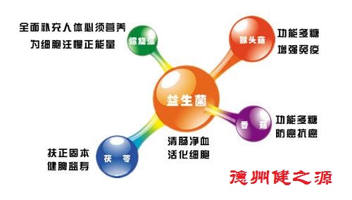 腸胃功能差，益生菌就可以解決一切