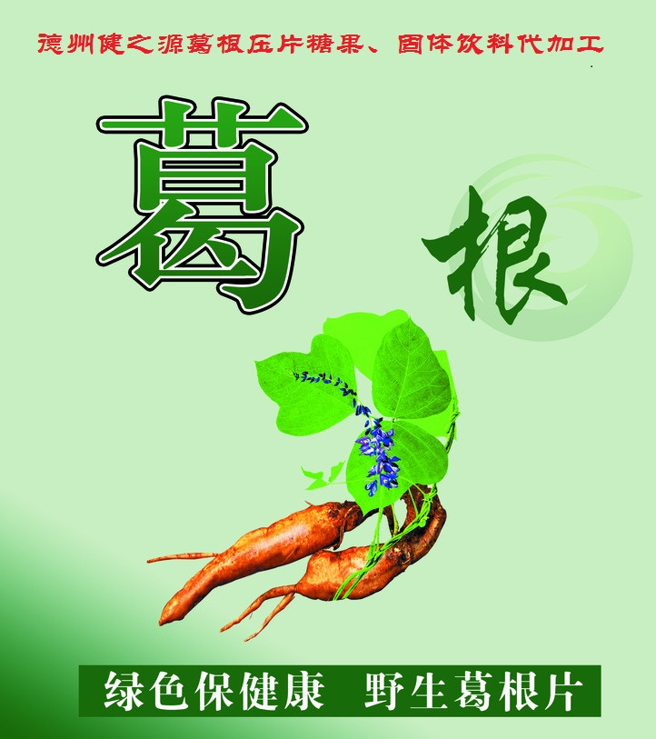 葛根，男女通用的人體調(diào)理專家